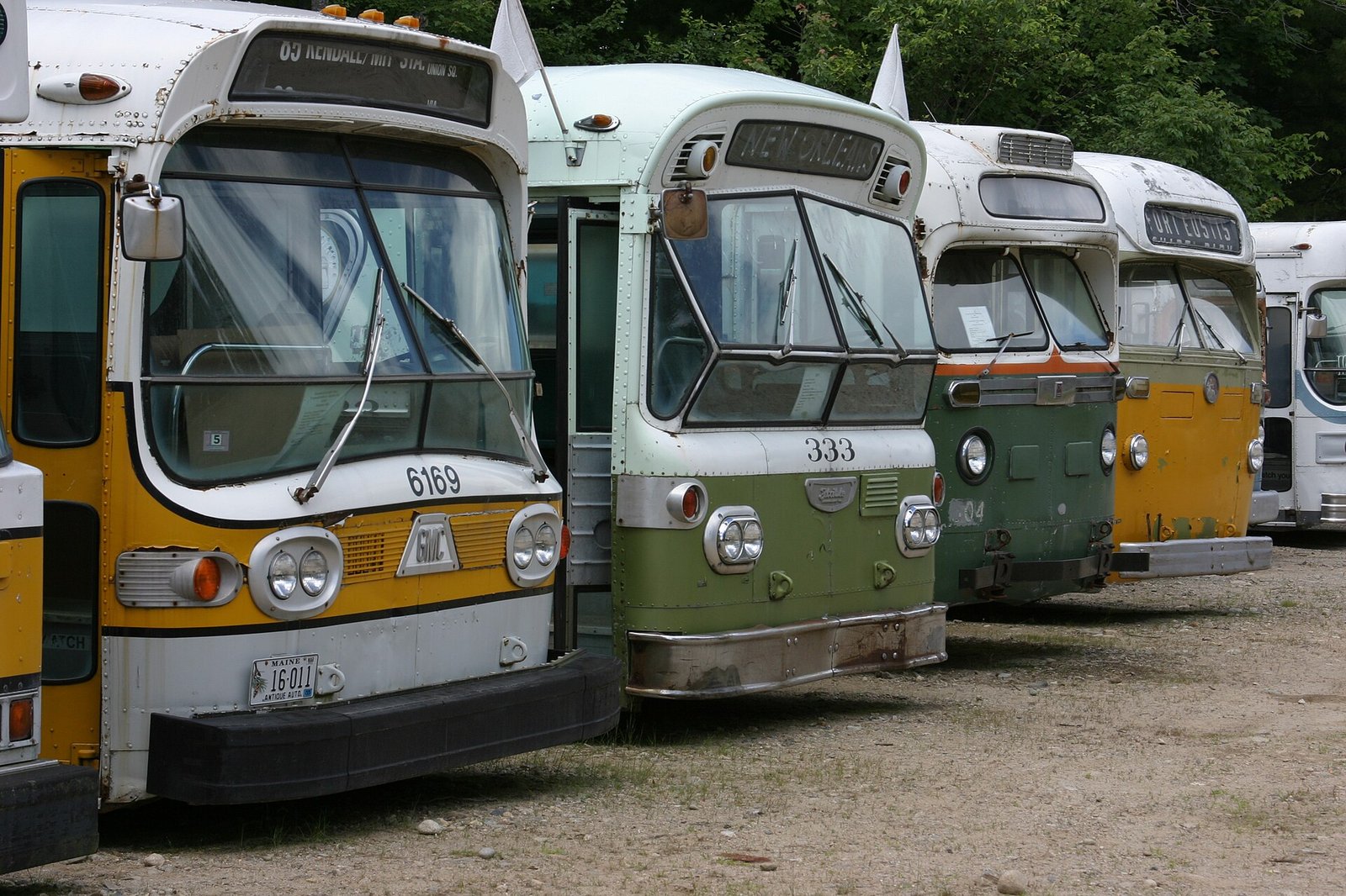 A row of vintage trolleys and buses on display at the Seashore Trolley Museum